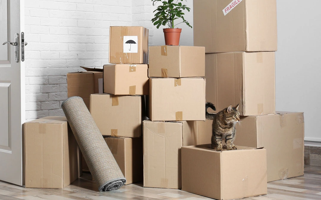 How to Make Your Relocation a Breeze: Expert Moving Tips for a Stress-Free Move in Dubai